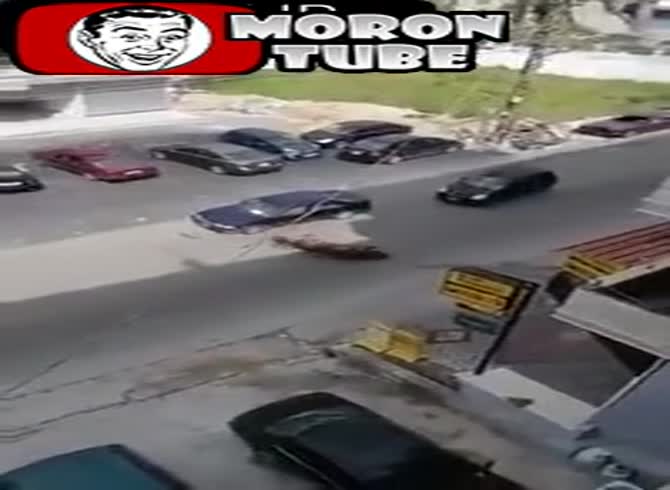 Video :Car versus horse out of control (Lebanon)